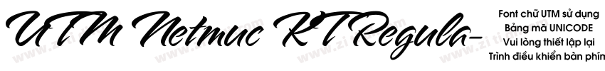 UTM Netmuc KT Regula字体转换